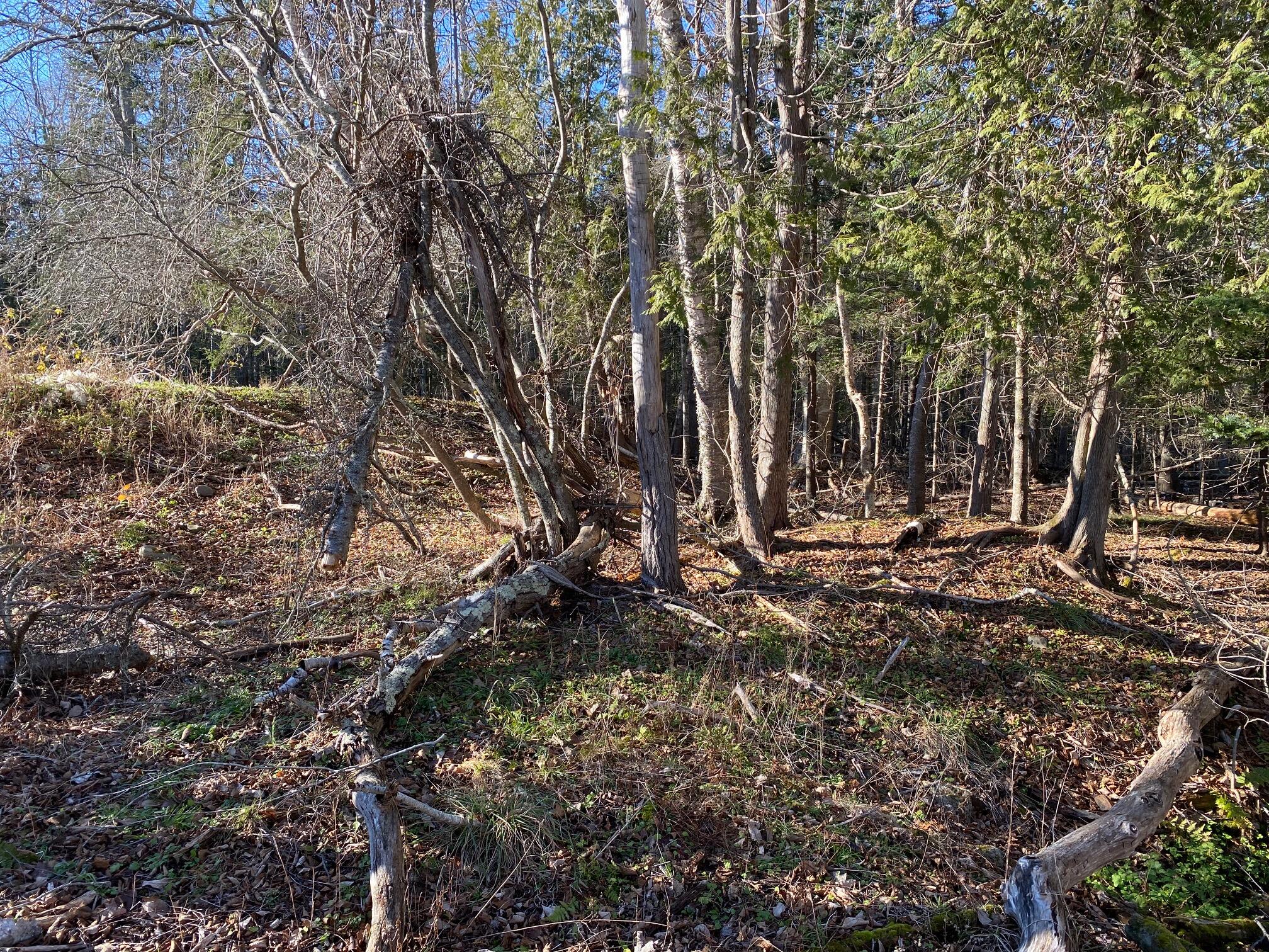 842 Main Road Islesboro, ME 04848 - Photo 15 of 40 IMG_4111