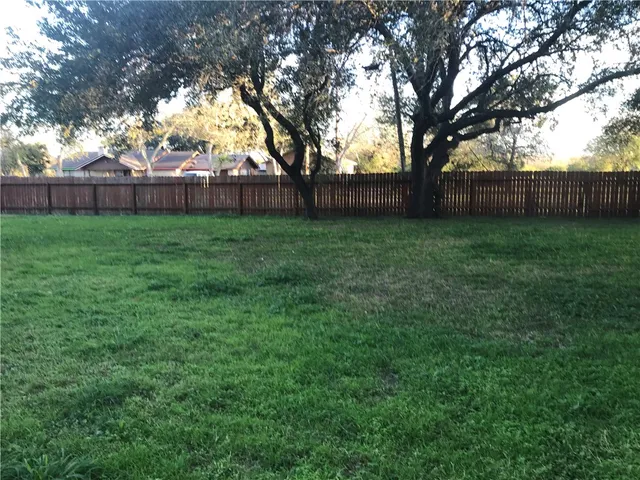 a view of a backyard with tree