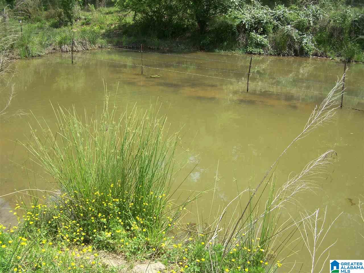 2270 Elvester Road Warrior, AL 35180 - Photo 27 of 31