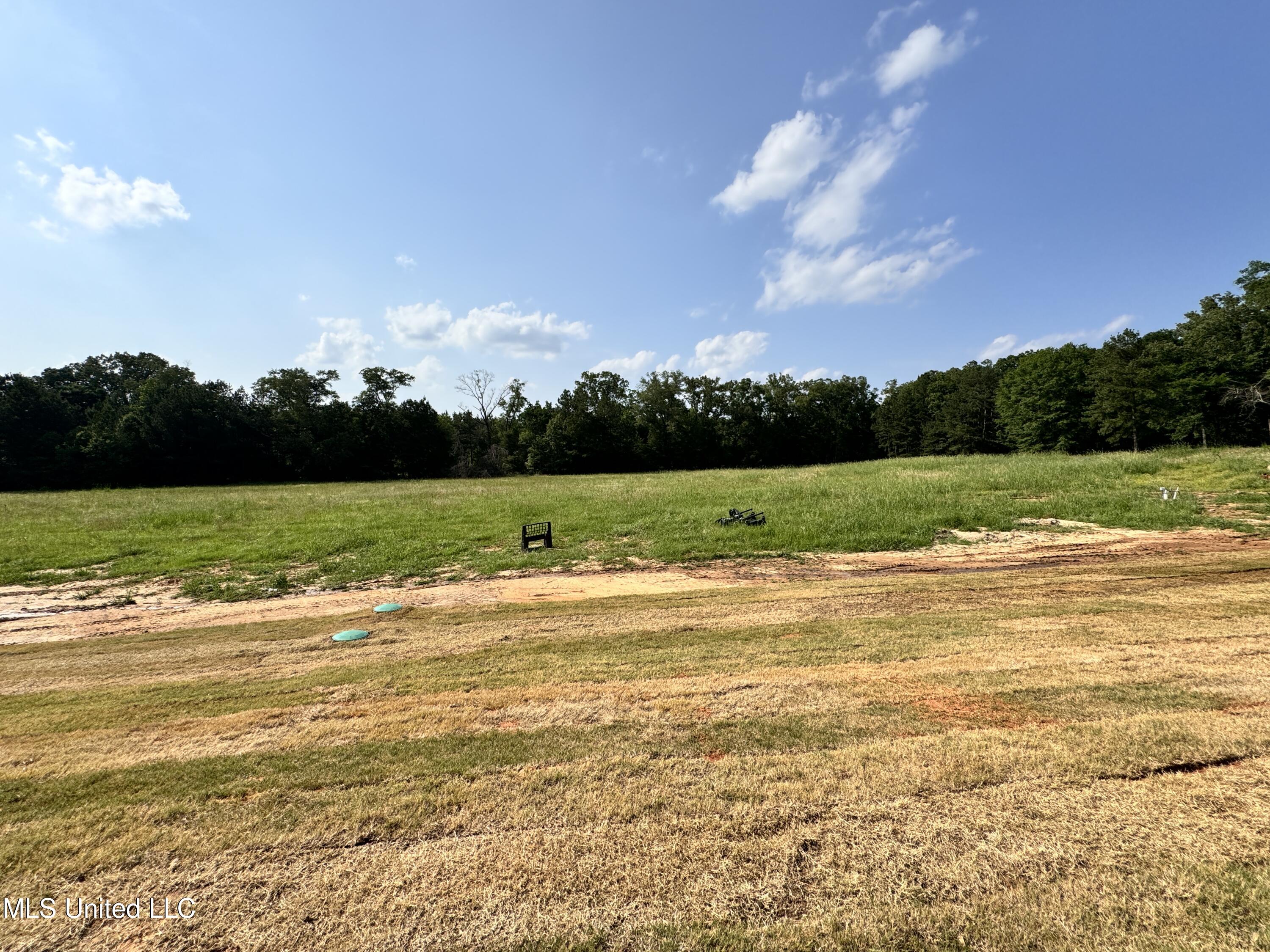 984 Mullican Road Florence, MS 39073 - Photo 26 of 26 IMG_0375