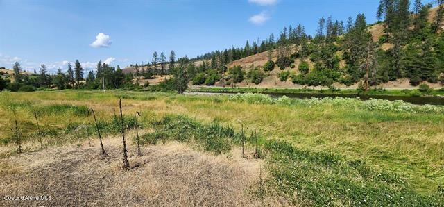 Tbd Lukes Gulch Road Stites, ID 83552 - Photo 12 of 17 12