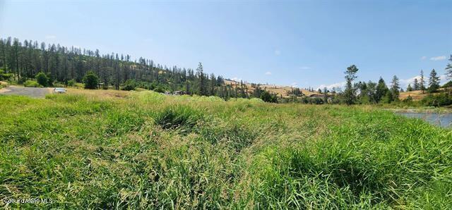 Tbd Lukes Gulch Road Stites, ID 83552 - Photo 13 of 17 13