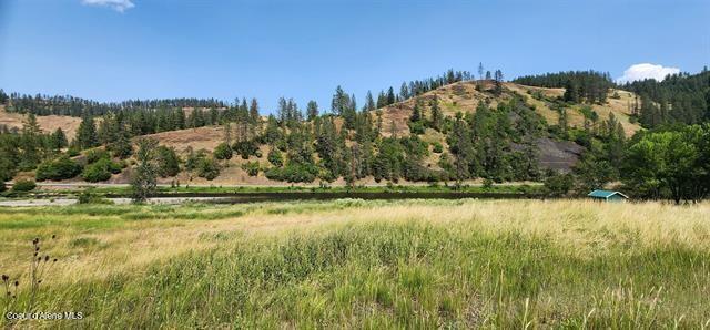 Tbd Lukes Gulch Road Stites, ID 83552 - Photo 16 of 17 16