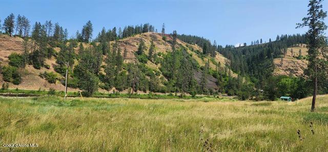 Tbd Lukes Gulch Road Stites, ID 83552 - Photo 17 of 17 17
