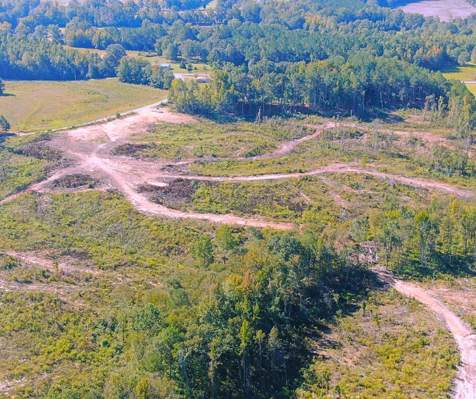 5345 Co Road Baldwyn, MS 38824 - Photo 9 of 18 Gallery Image 9