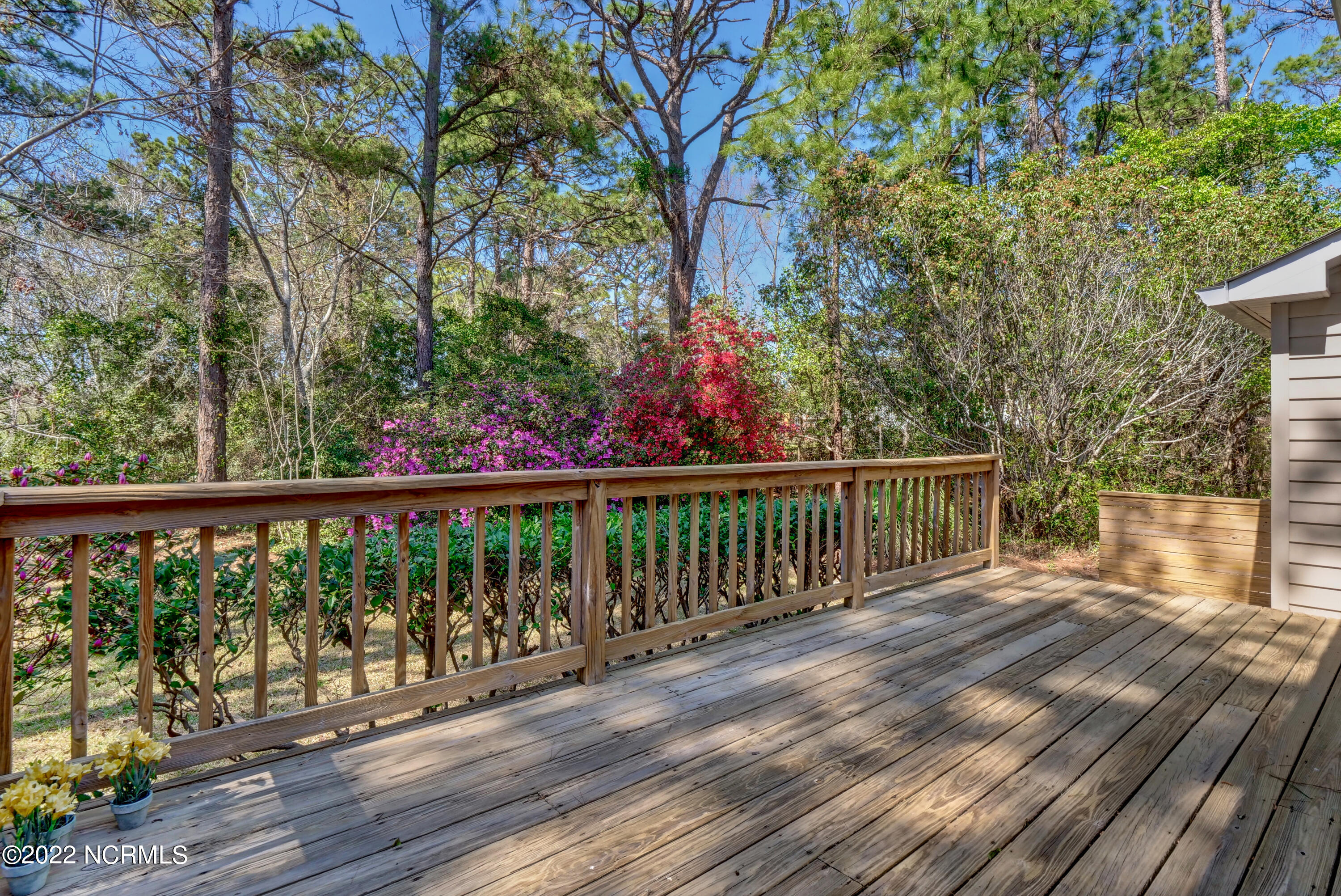409 Rolling Road Wilmington, NC 28405 - Photo 26 of 34 P7011459_60_61_62_63_64_65