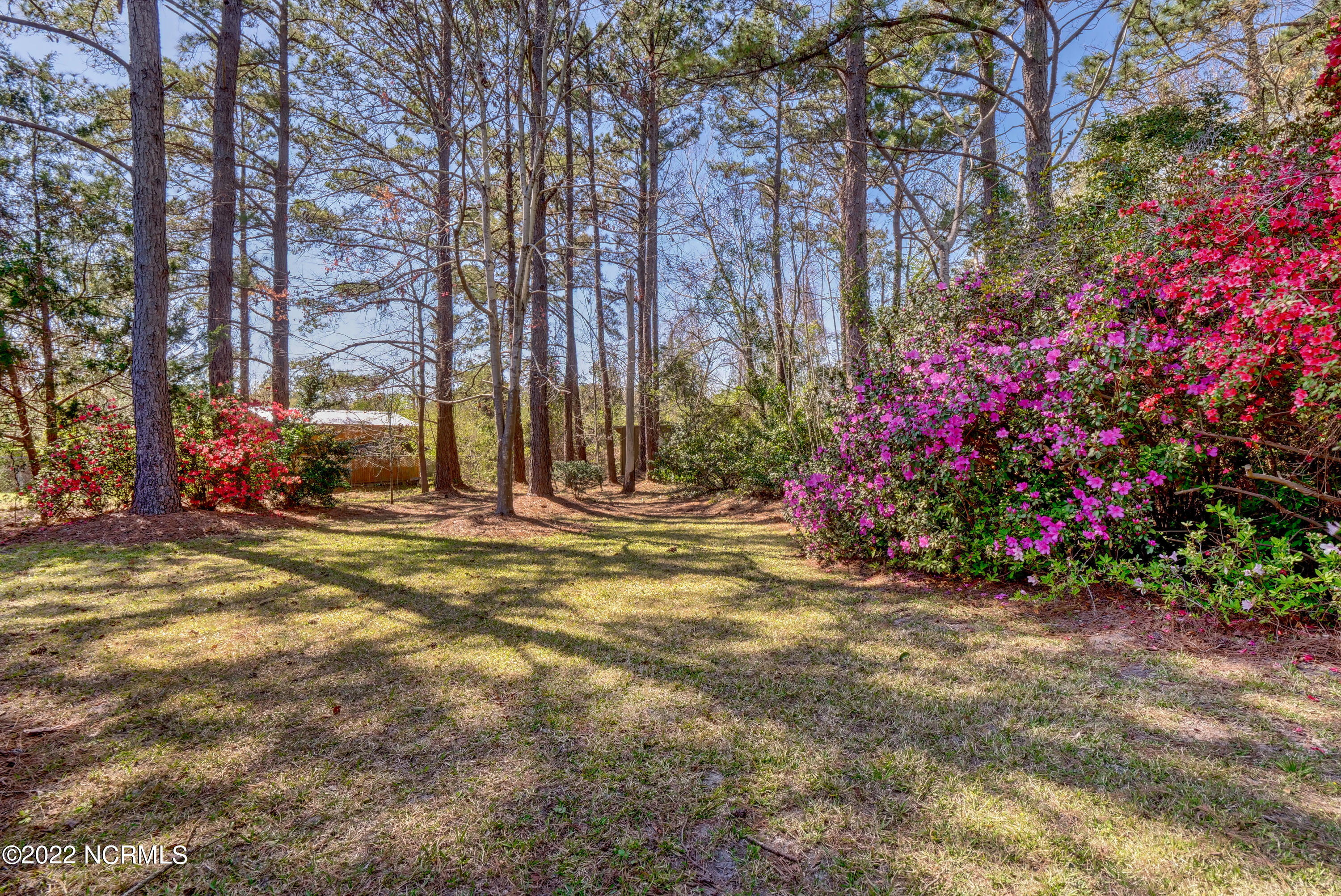 409 Rolling Road Wilmington, NC 28405 - Photo 29 of 34 P7011480_1_2_3_4_5_6