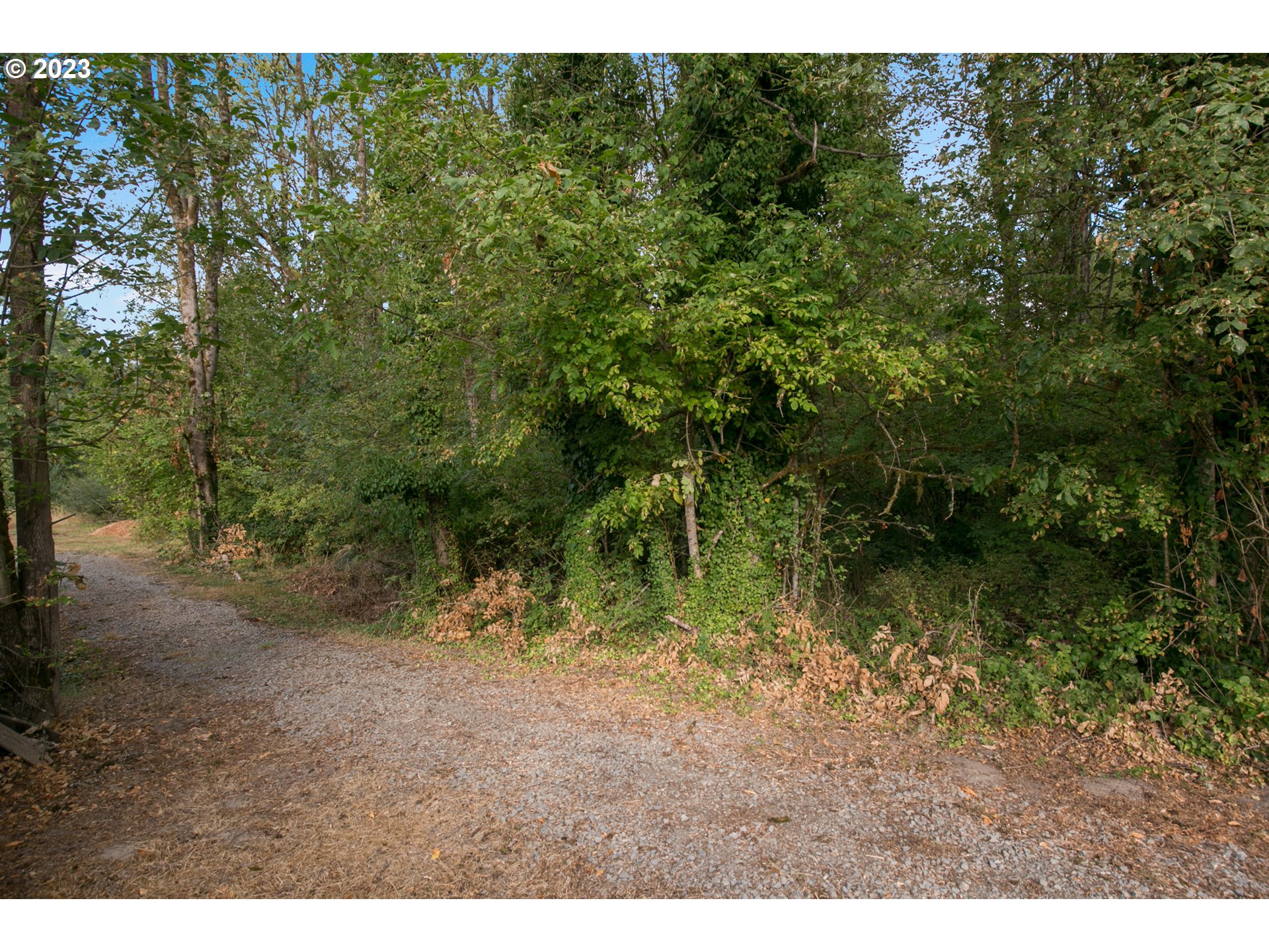 18 South Gee Creek Loop Ridgefield, WA 98642 - Photo 21 of 24 a view of outdoor space and a yard