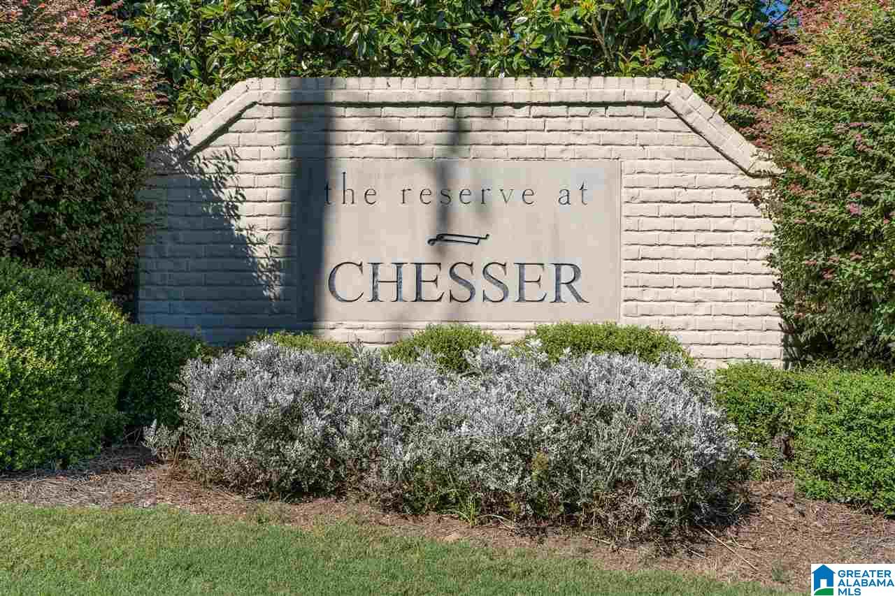 520 Chesser Reserve Way Chelsea, AL 35043 - Photo 33 of 33