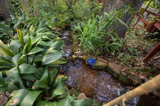 a backyard of a house with lots of green space