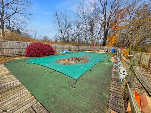 a view of a park with large trees