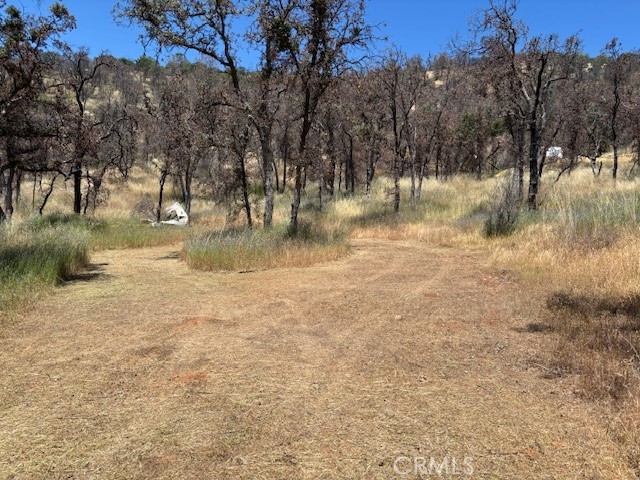 5358 Mariposa Heights Road Mariposa, CA 95338 - Photo 6 of 10 Wide area cleared for safely parking cars at bottom of driveway.