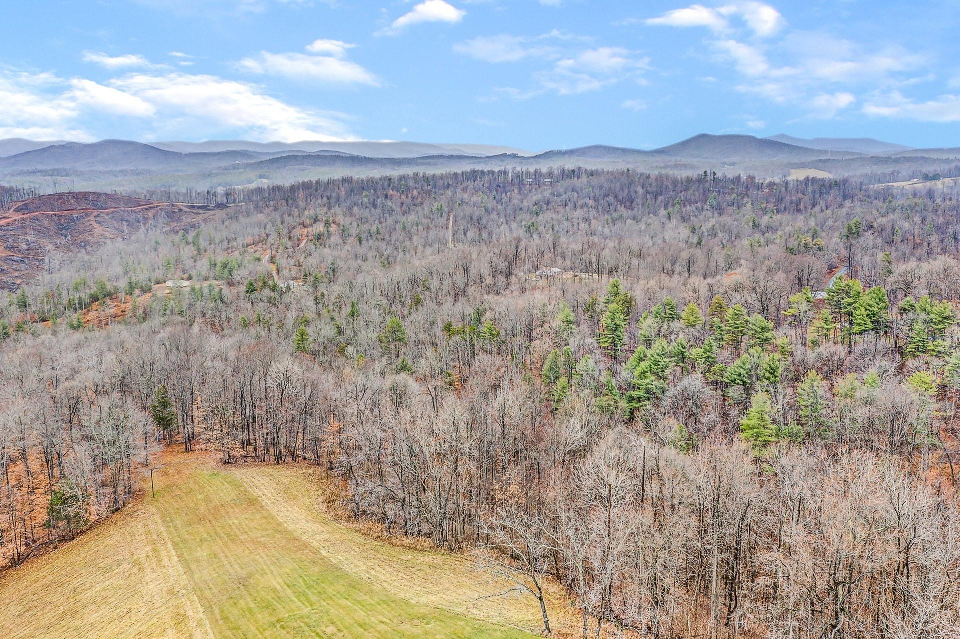 1563 Marshall Hill Road Ferrum, VA 24088 - Photo 50 of 54 51 Property