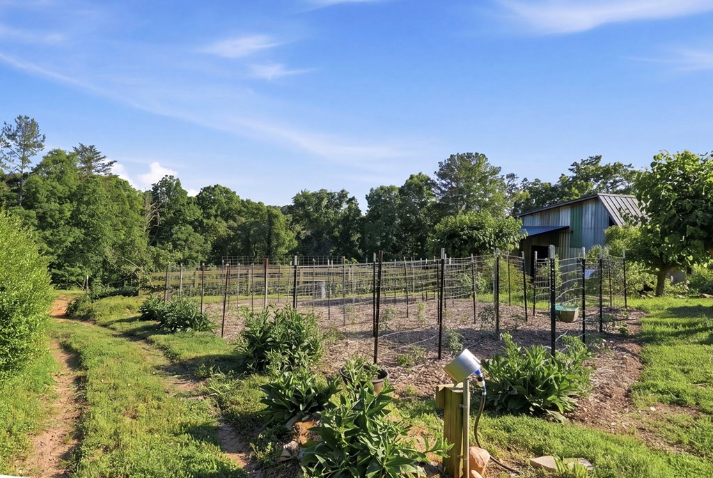 1823 Shoal Creek Road Clarkesville, GA 30523 - Photo 119 of 149