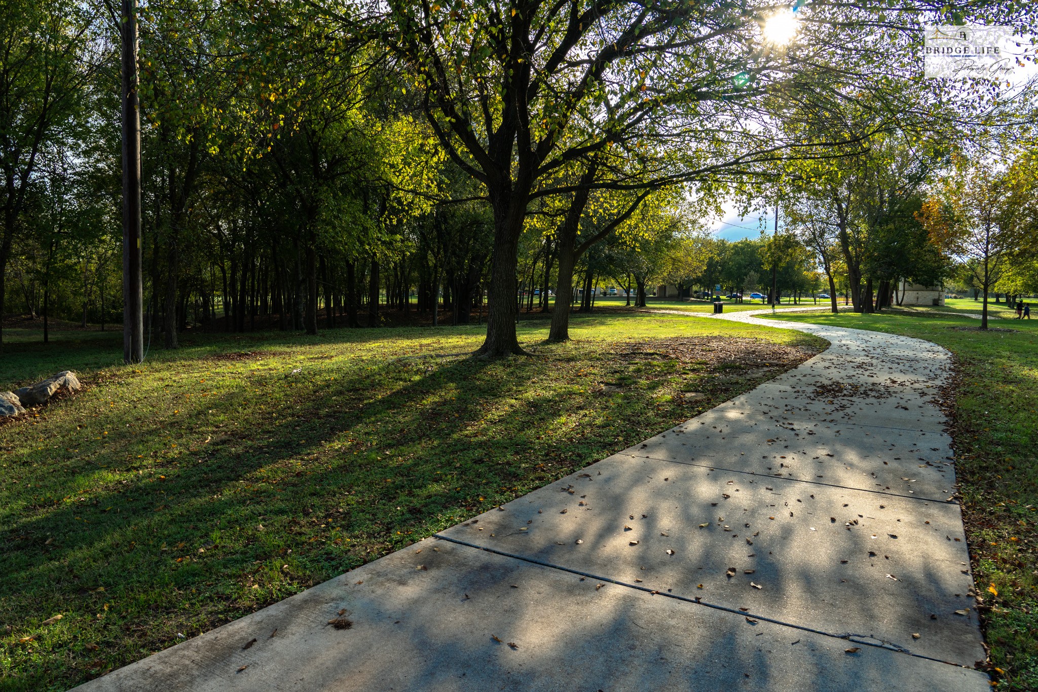 812 Battenburg Trail Pflugerville, TX 78660 - Photo 21 of 29 a view of a backyard with green space