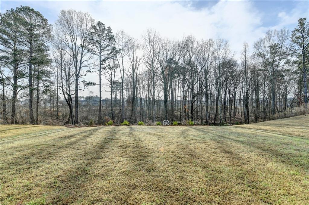 86 Canyon Ferry Way Hoschton, GA 30548 - Photo 53 of 61