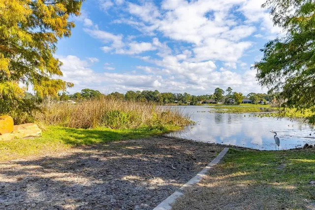 a view of a park with large trees