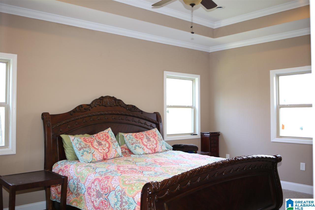 431 Palisades Park Road Oneonta, AL 35121 - Photo 9 of 20