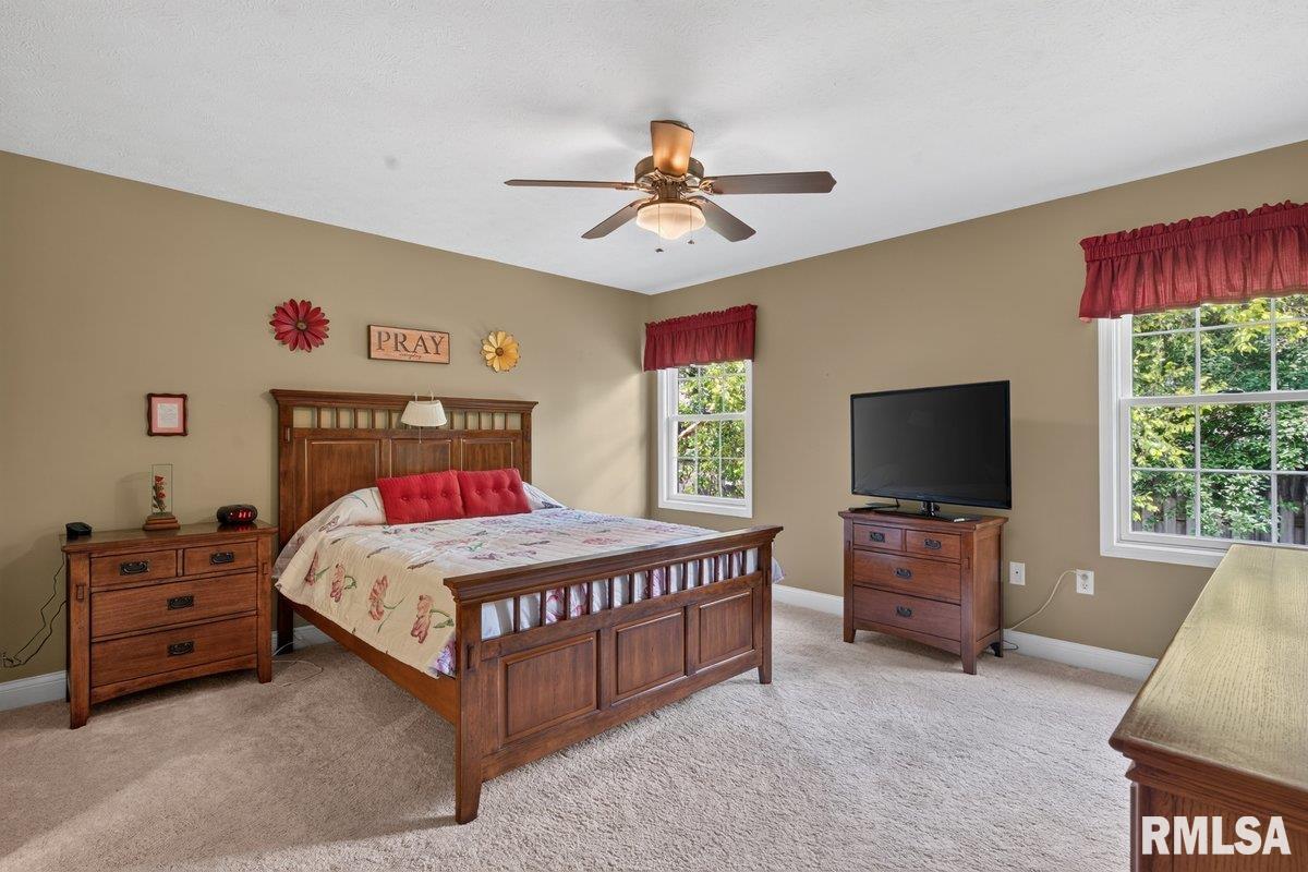 5303 Biltmore Drive Springfield, IL 62711 - Photo 13 of 24