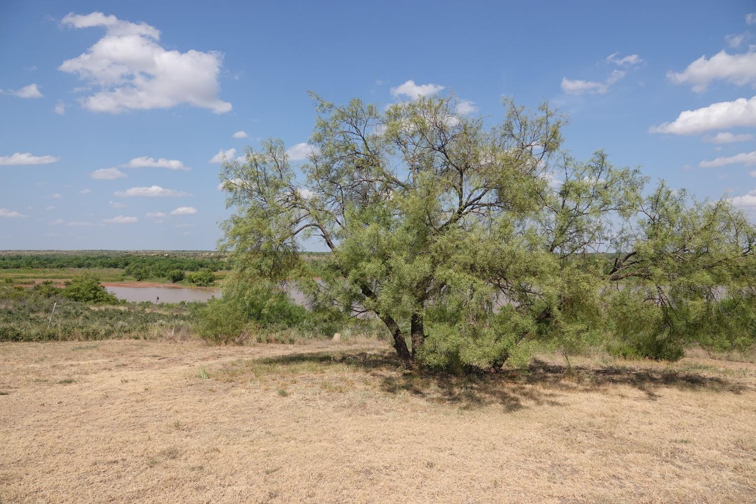 296 Sand Creek Road Spur, TX 79370 - Photo 37 of 43 Photo 37