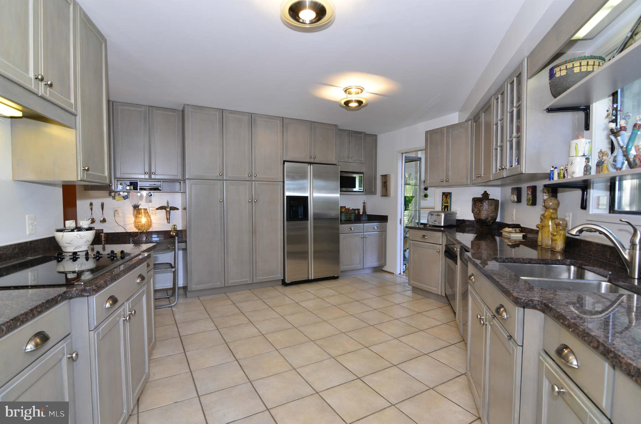 2205 Burgee Court Reston, VA 20191 - Photo 13 of 30 Kitchen w/granite, stainless steel & lake views.