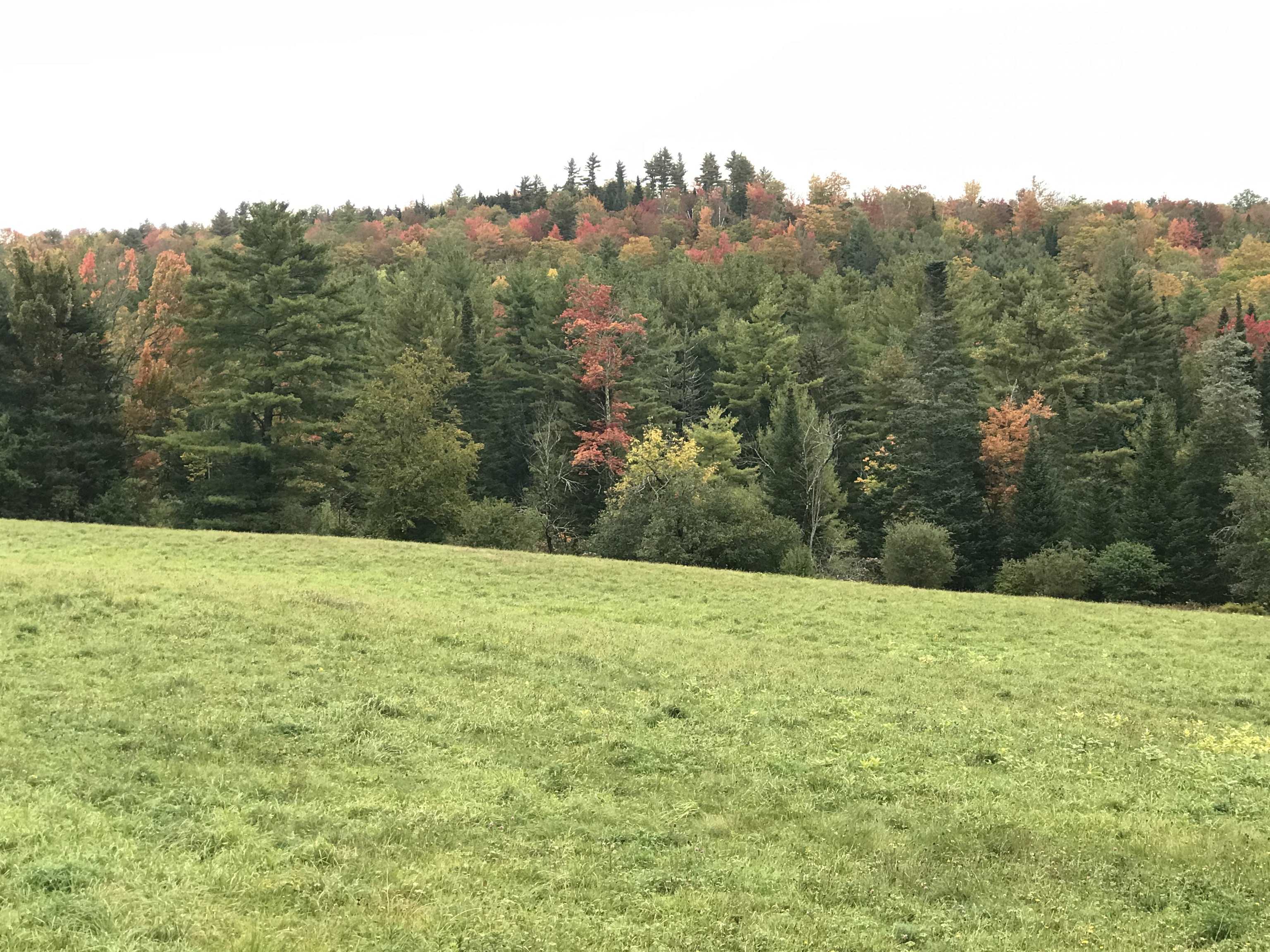 690 High Ridge Road Waterford, VT 05819 - Photo 6 of 13