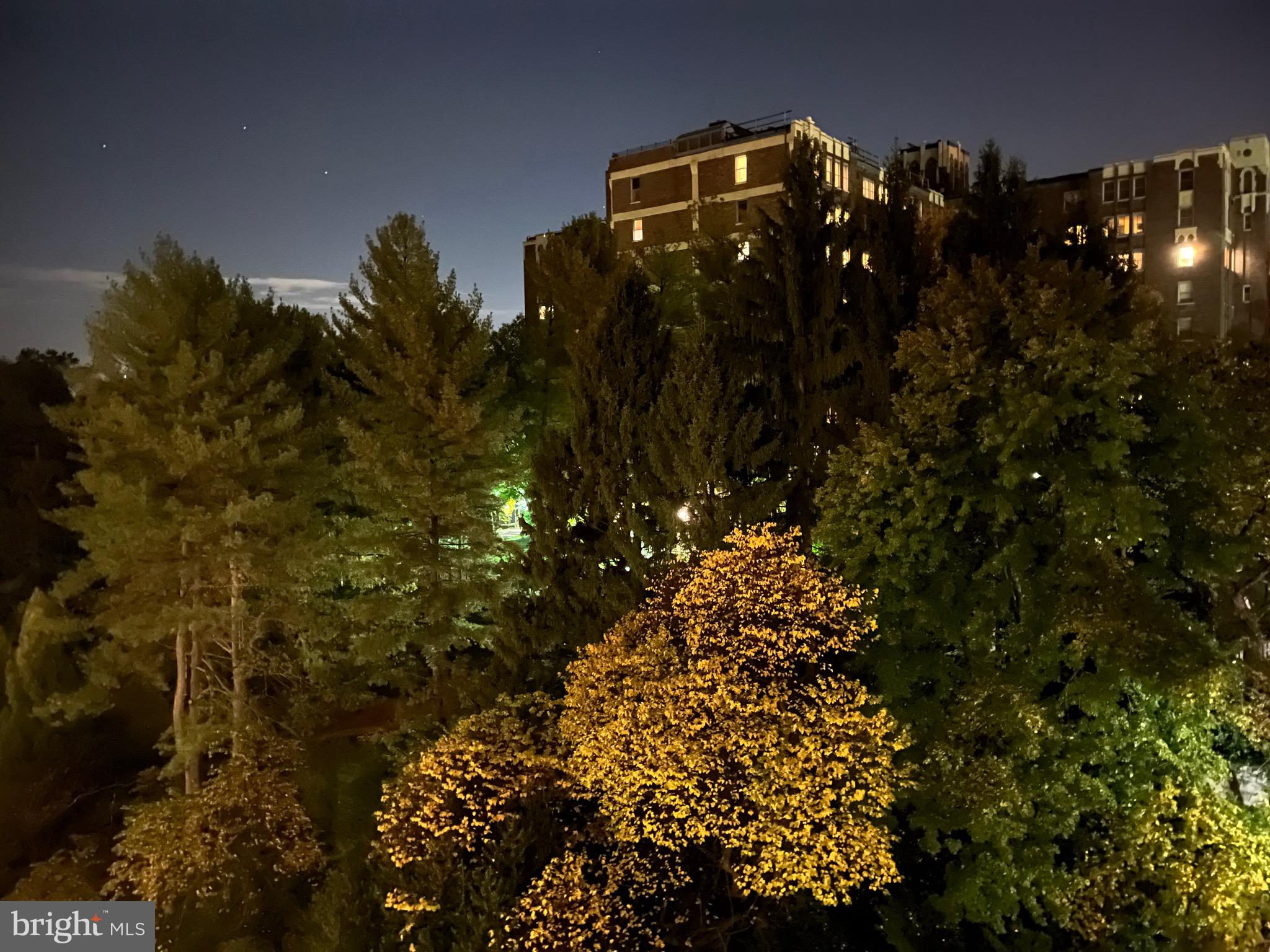 2801 New Mexico Avenue Northwest, Unit 1113 Washington, DC 20007 - Photo 24 of 39