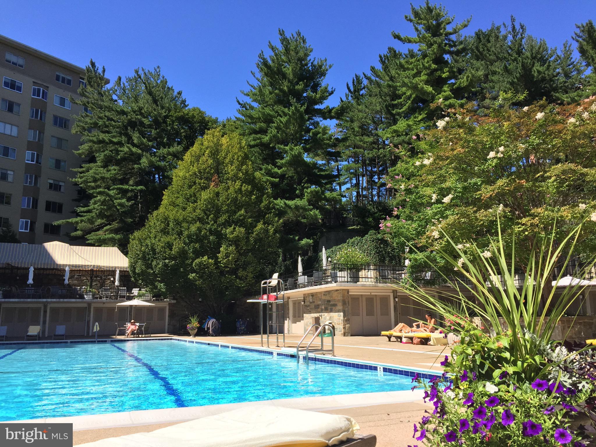 2801 New Mexico Avenue Northwest, Unit 1113 Washington, DC 20007 - Photo 33 of 39