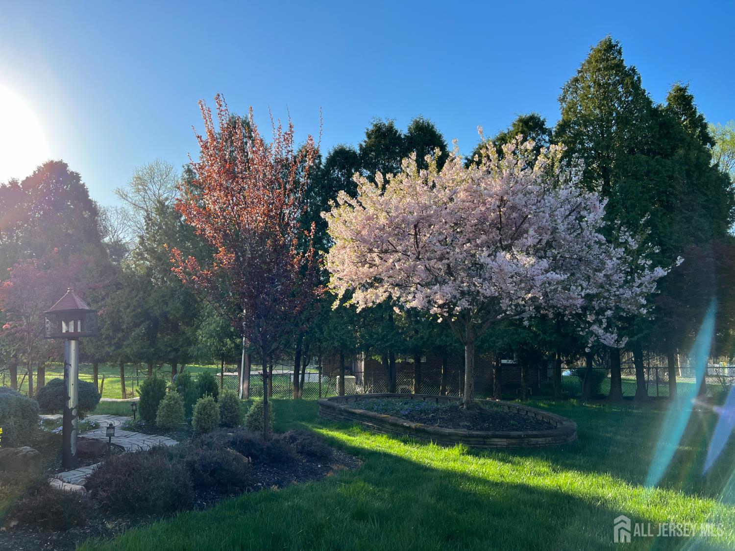 25 Davidson's Mill Road North Brunswick, NJ 08902 - Photo 53 of 56 a view of a park with trees in the background