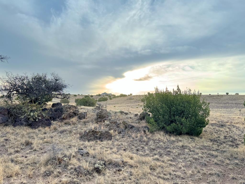 Tbd Spring Creek Road Alpine, TX 79830 - Photo 1 of 1 Gallery Image 1