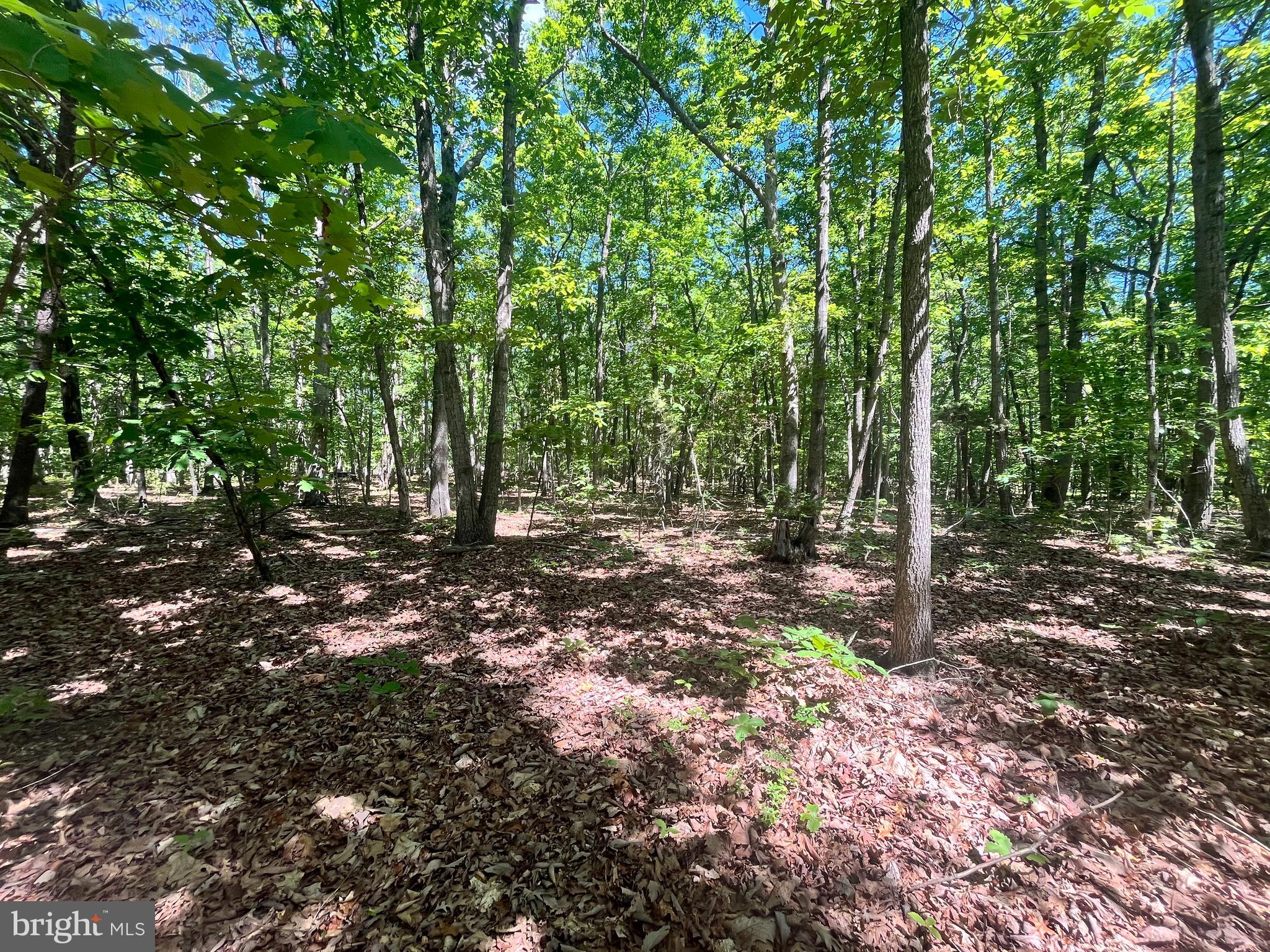 Elk Run Road Midland, VA 22728 - Photo 1 of 10 Buildable 2.33 level lot