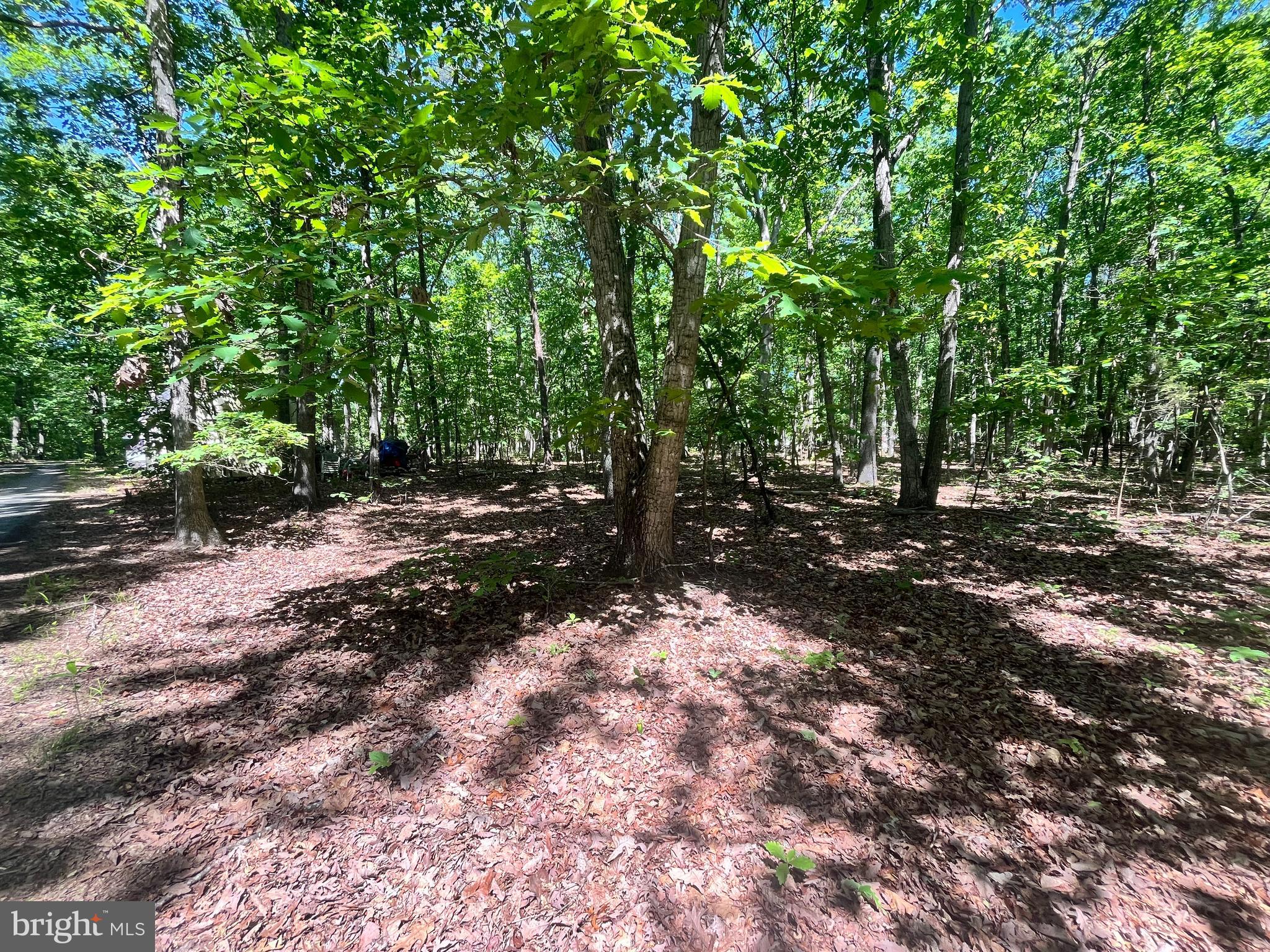 Elk Run Road Midland, VA 22728 - Photo 4 of 10 Gallery Image 4