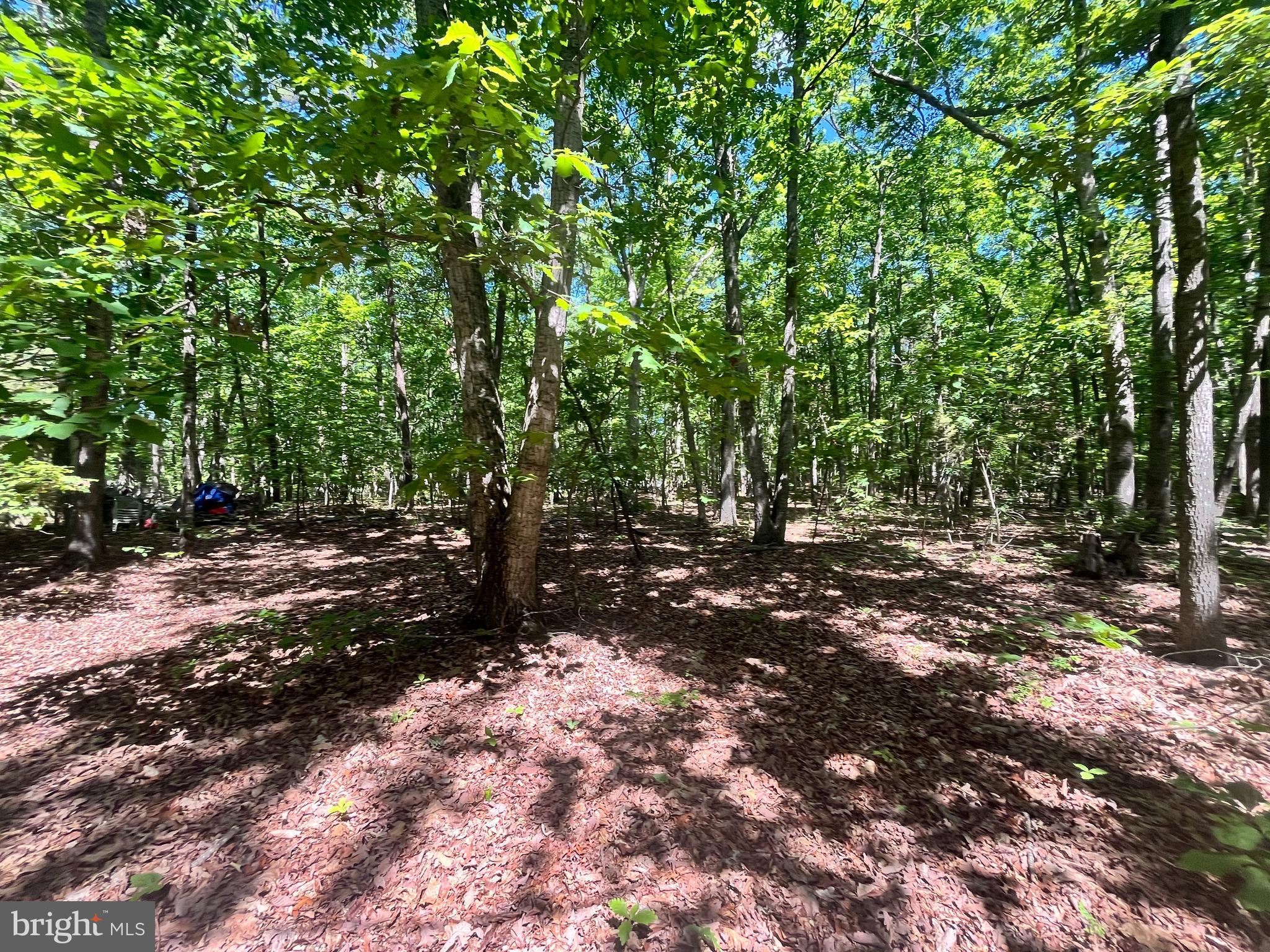 Elk Run Road Midland, VA 22728 - Photo 5 of 10 Gallery Image 5