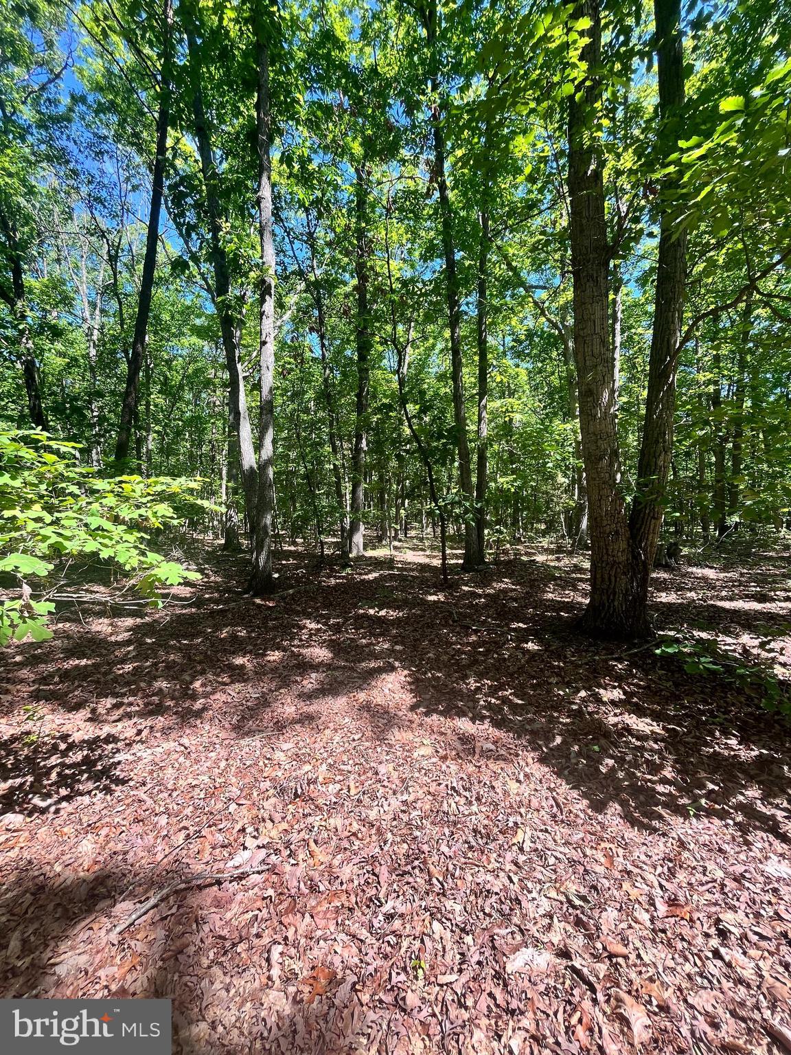 Elk Run Road Midland, VA 22728 - Photo 6 of 10 Gallery Image 6