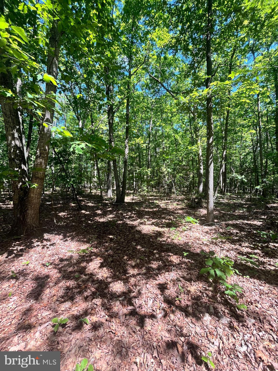 Elk Run Road Midland, VA 22728 - Photo 7 of 10 Gallery Image 7