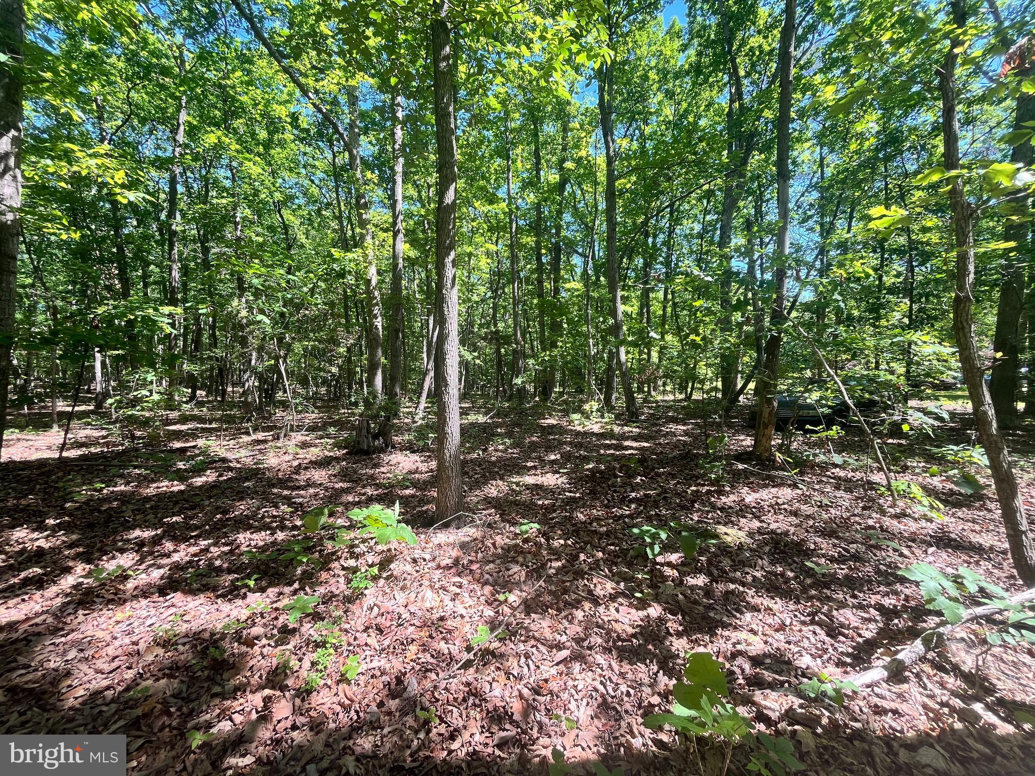 Elk Run Road Midland, VA 22728 - Photo 8 of 10 Gallery Image 8