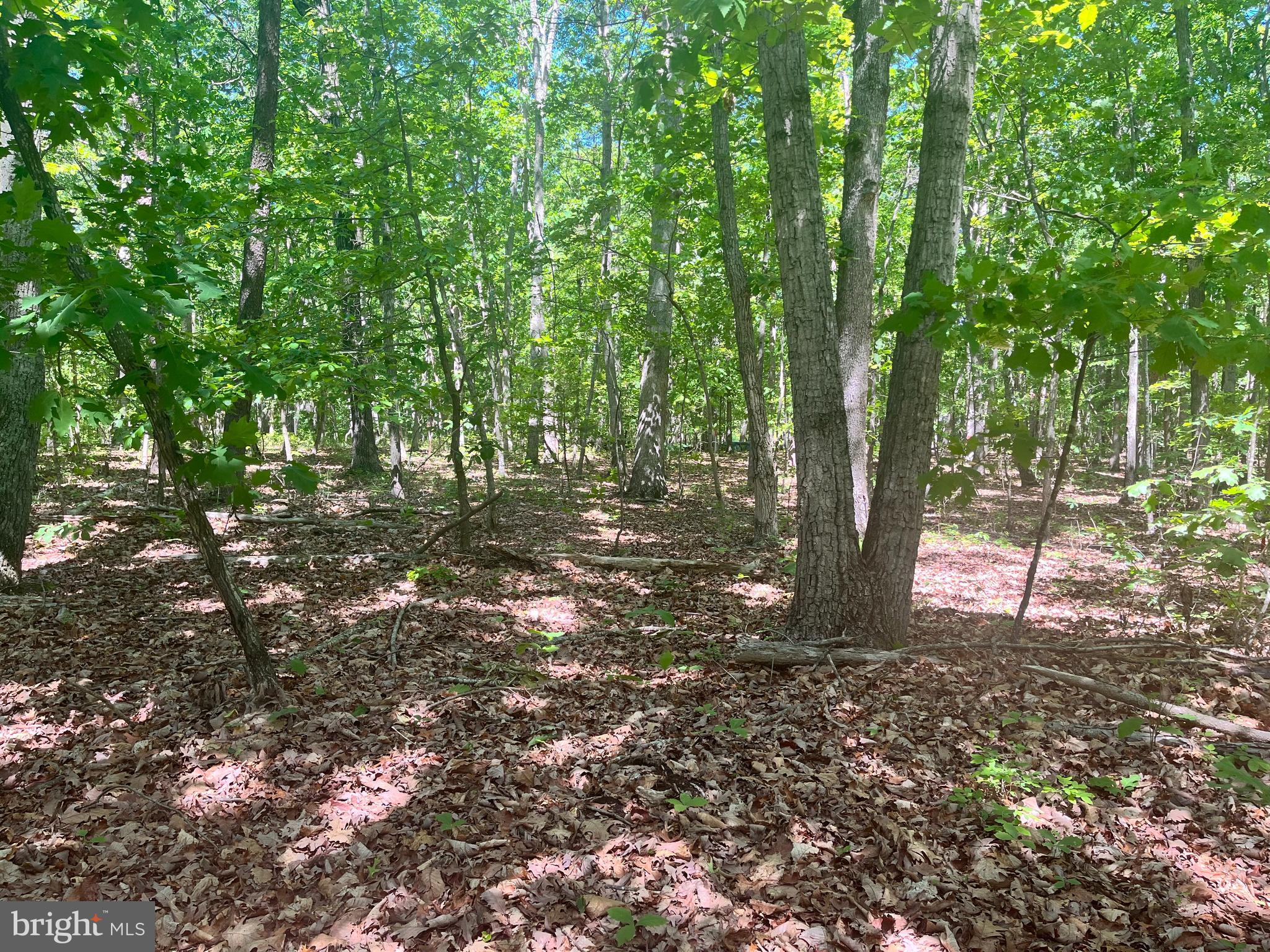 Elk Run Road Midland, VA 22728 - Photo 10 of 10 Gallery Image 10