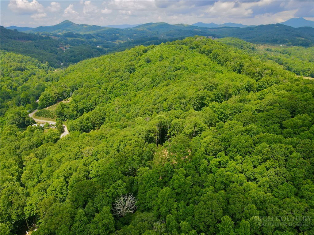 Old Chestnut Mountain Road Newland, NC 28657 - Photo 17 of 33