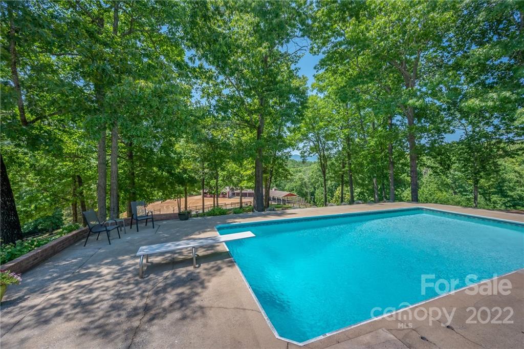 2345 Hunting Country Road Tryon, NC 28782 - Photo 8 of 48