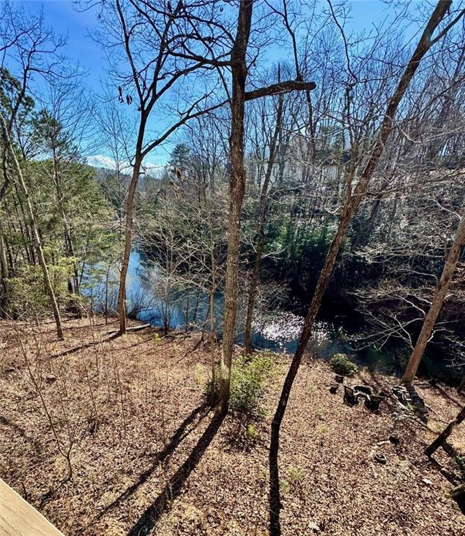 126 Colt Court Jasper, GA 30143 - Photo 2 of 33