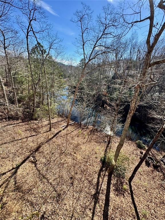126 Colt Court Jasper, GA 30143 - Photo 32 of 33