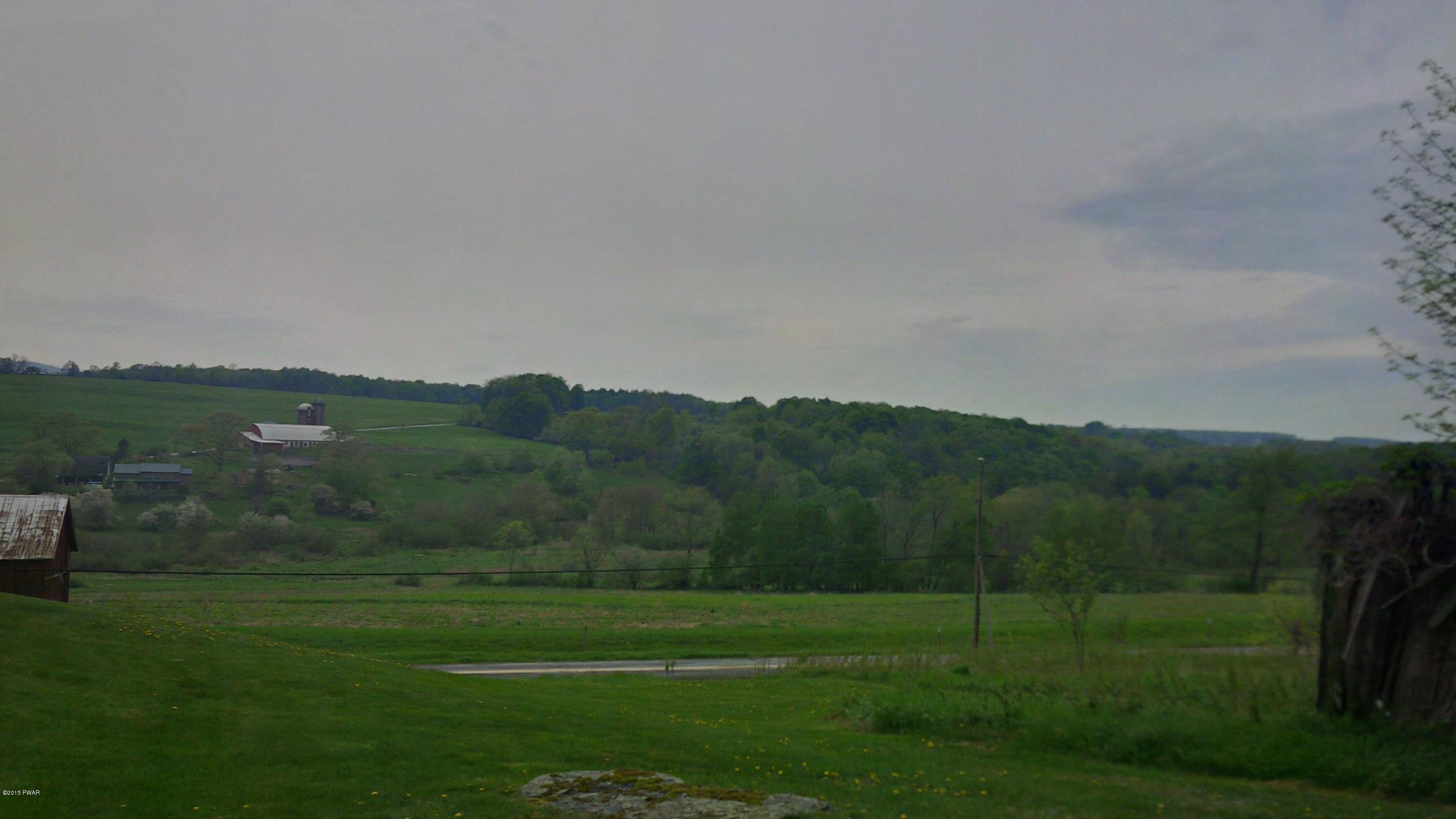 32 South Preston Road Pleasant Mount, PA 18453 - Photo 19 of 25 Gallery Image 19