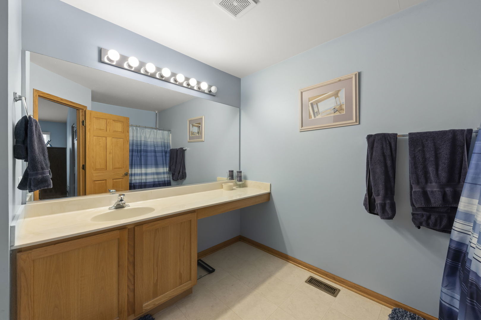 2217 Cedar Ridge Drive Plainfield, IL 60586 - Photo 16 of 26 a bathroom with a sink and a mirror