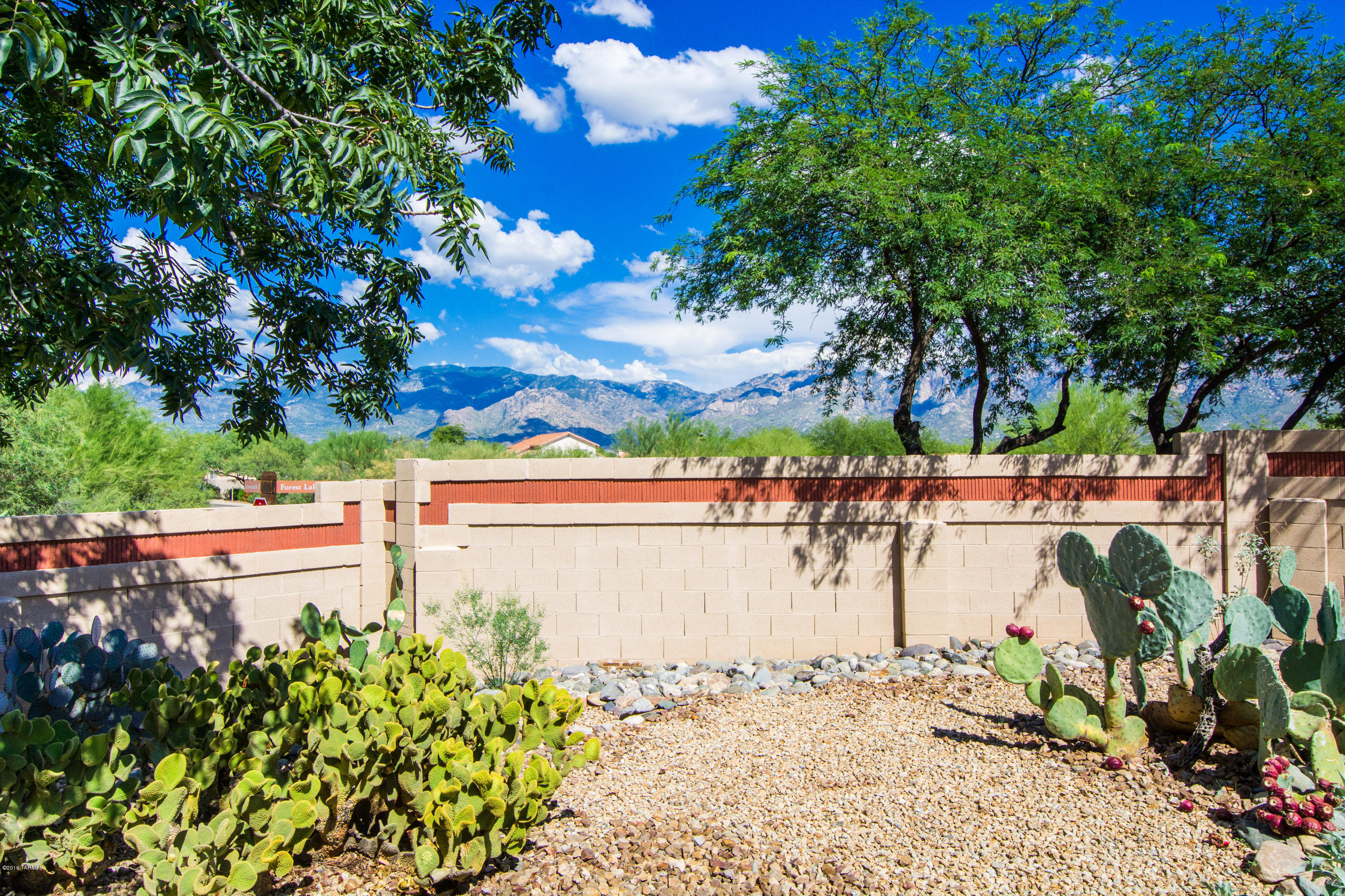 65 Blackstone Road Oro Valley, AZ 85755 - Photo 20 of 48