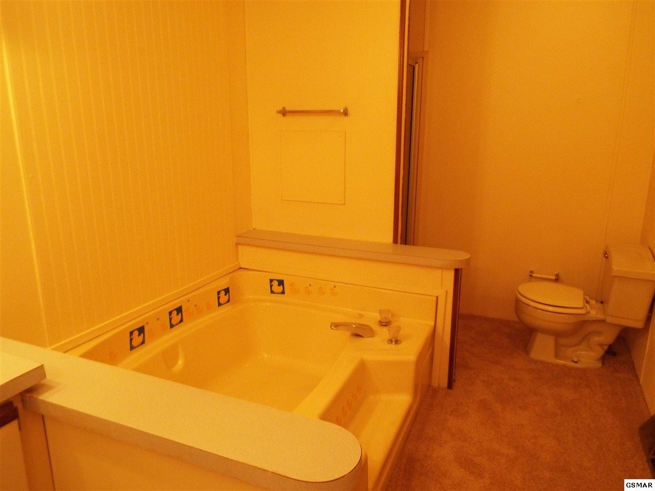 335 Thompson Way Cosby, TN 37722 - Photo 23 of 36 Gallery Image 23