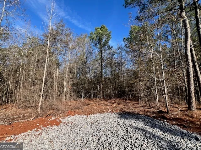 a view of a backyard of the house