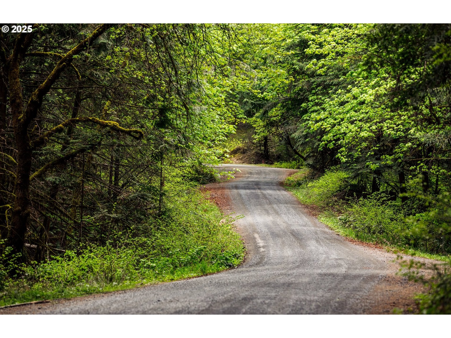 0 Rice Creek Road Winston, OR 97496 - Photo 47 of 48