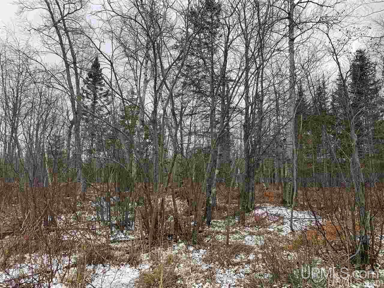 Tbd Cedar Bay Road Calumet, MI 49913 - Photo 2 of 4