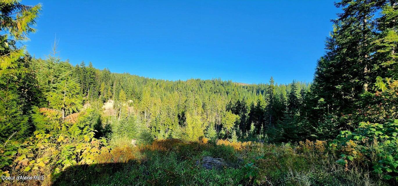 1530 Dusty Lane St. Maries, ID 83861 - Photo 2 of 21 D2