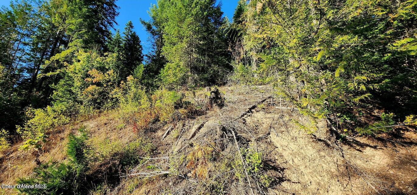 1530 Dusty Lane St. Maries, ID 83861 - Photo 3 of 21 D3